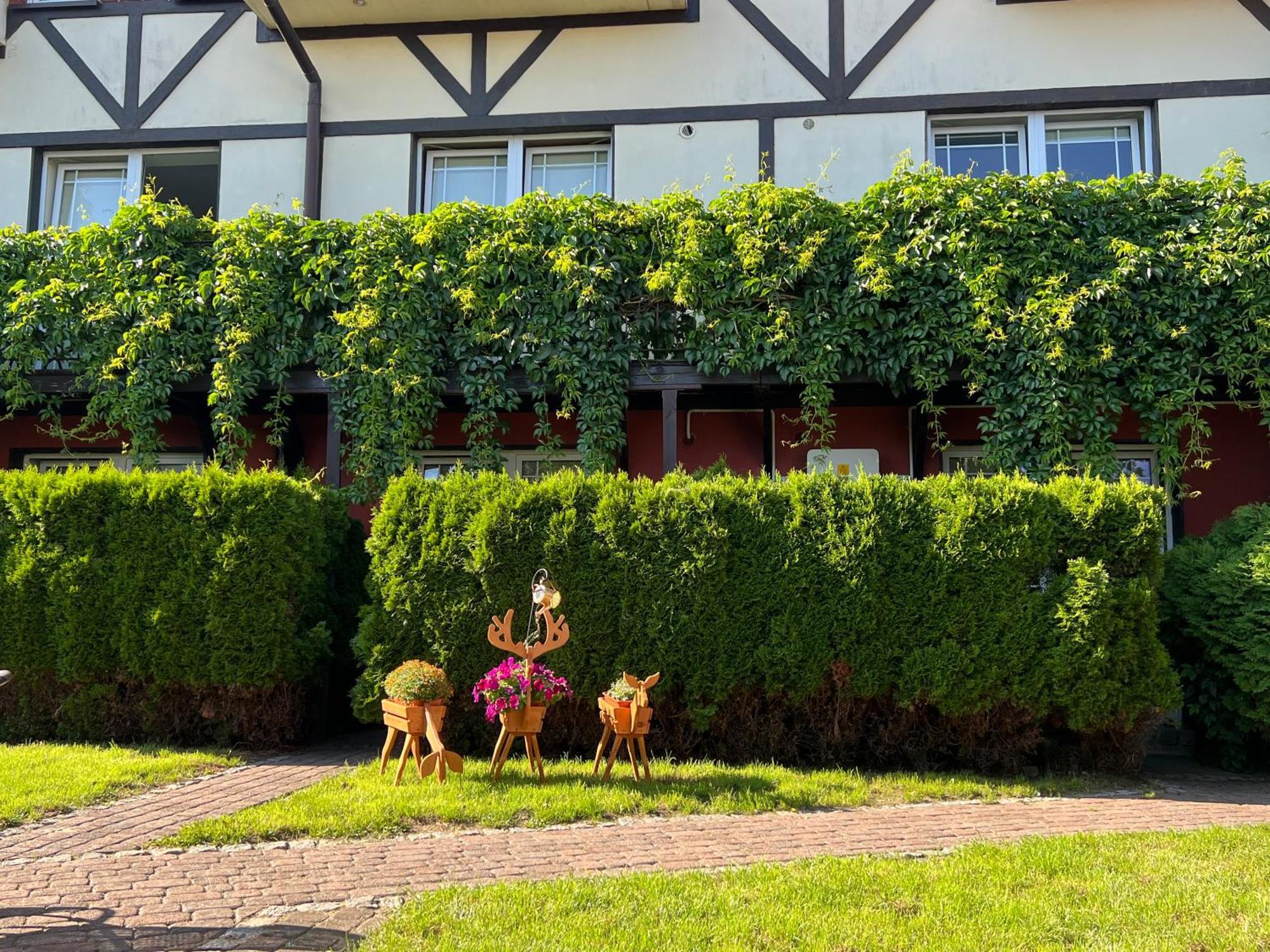 Hotel Wilczy Zaulek Mielno  Zewnętrze zdjęcie